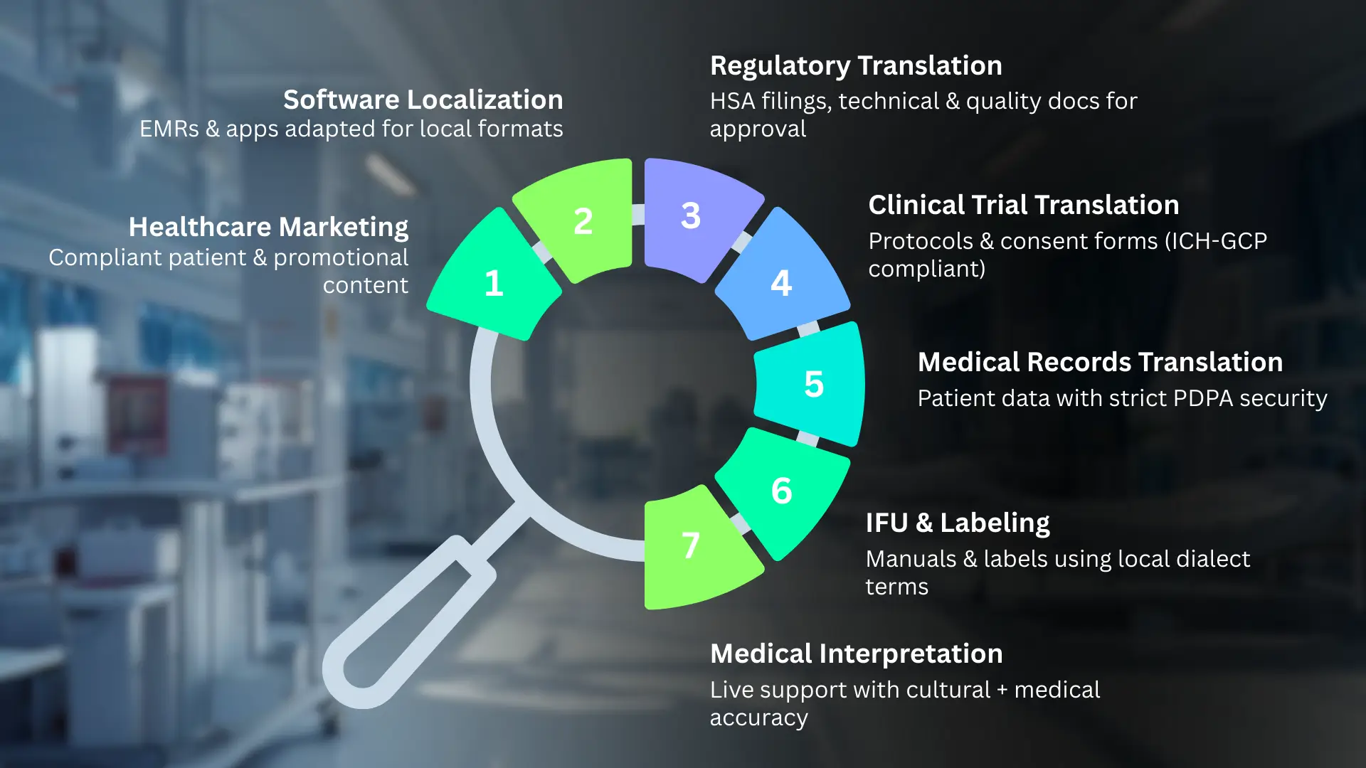 Infographic with magnifying glass showing seven healthcare translation services: marketing, software localization, regulatory, clinical trials, medical records, IFU & labeling, and medical interpretation.